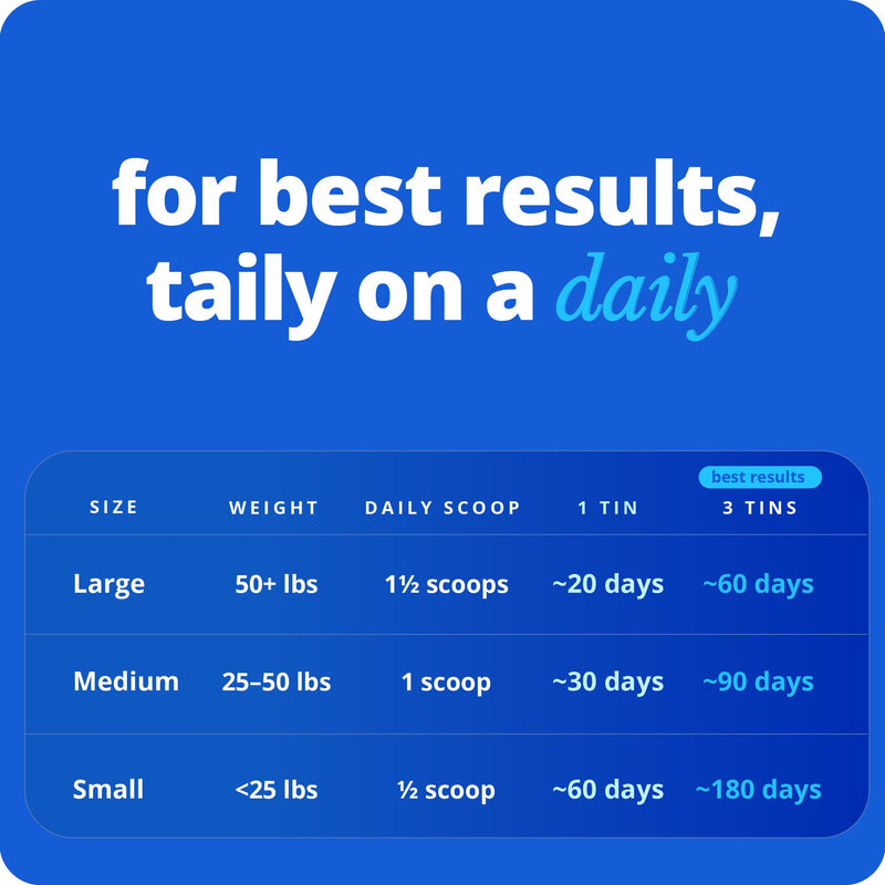 Taily NAD for Dogs – Daily Longevity Supplement – Supports Cellular Energy, Healthy Aging, Brain & Heart Function – Nicotinamide Riboside Precursor for Dogs – NAD+, Vet-Formulated, Made in USA