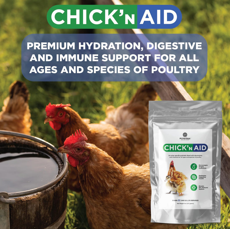 Chick’n Aid Chicken Supplement for All Ages (8 oz, Pack of 1) - Chicken Vitamins, Electrolytes, and Probiotics - Multipurpose Poultry Vitamins for Chickens, Ducks, and Turkeys 8 oz (Pack of 1) - BeesActive Australia