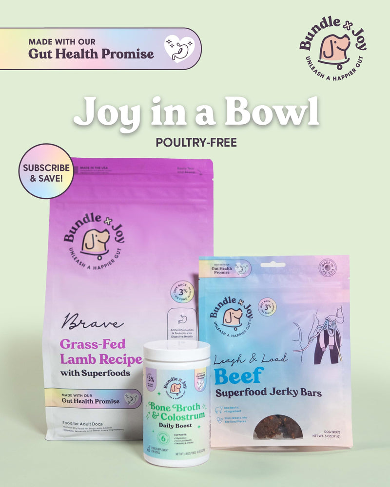 Bundle x Joy Beef Bone Broth Powder for Dogs Daily Boost Powder with Colostrum for Dogs Immune Support & Allergy Relief, 4.8 oz, 54 Servings - Dog Supplements Made in USA