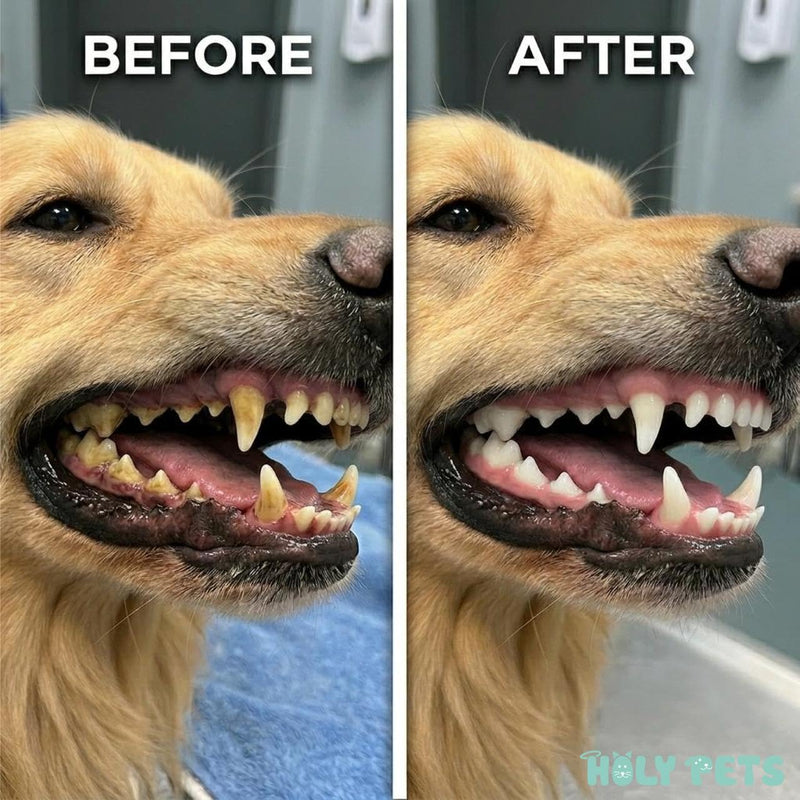 Dog Breath Freshener & Dental Powder for Teeth Cleaning – Plaque Off and Tartar Support for Dogs with Natural Herbal Blend & Postbiotics for Total Canine Oral Care (45g) 45g