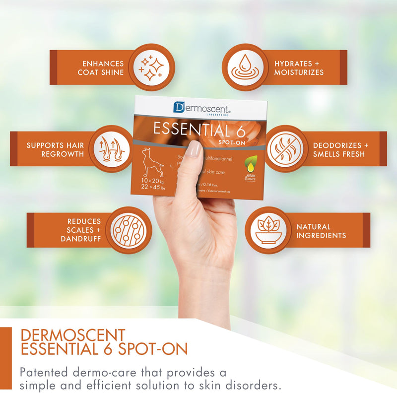 Dermoscent | Essential 6 Spot-On - Dog Itchy Skin Relief | Dandruff & Allergy Relief with Vitamin E Oil | Natural Ingredients for Sensitive Skin | Dogs 10-20 kg | 4 Pipettes of 1.2 ml