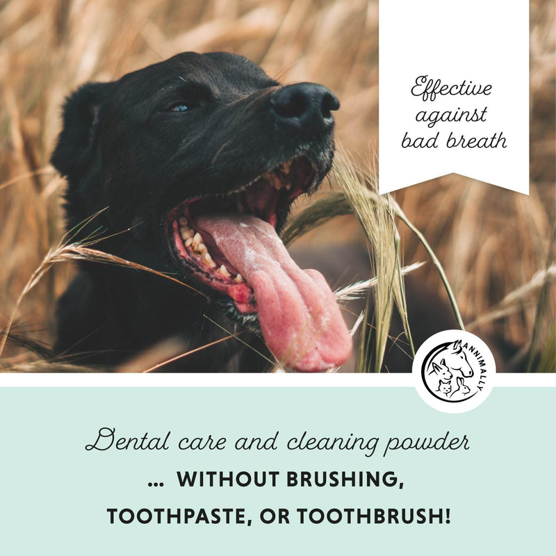 Annimally Oral Vital for Dogs 100 g - Daily Dental Powder with Eggshell Powder, Parsley, Seaweed, Peppermint & Spirulina, Made in Germany 100 g (Pack of 1)