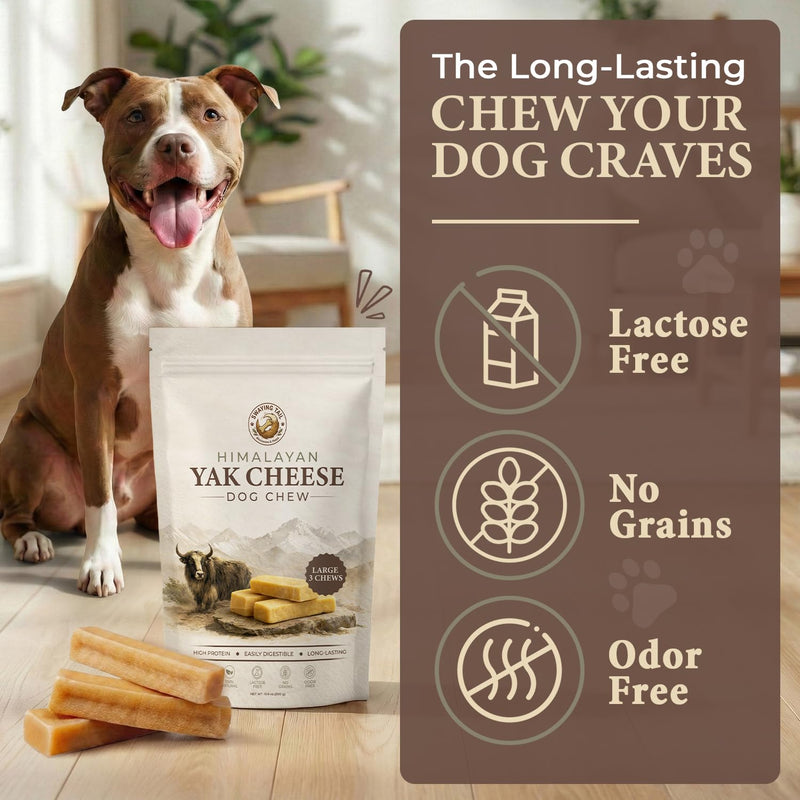 Himalayan Yak Cheese Dog Chew (Large, 3 Count) – 100% Natural, Long-Lasting Hard Treats for Super Chewers – Grain-Free, Lactose-Free, Odor-Free Incredibly Durable Churi Sticks for Dogs 1 Pound (Pack of 1)