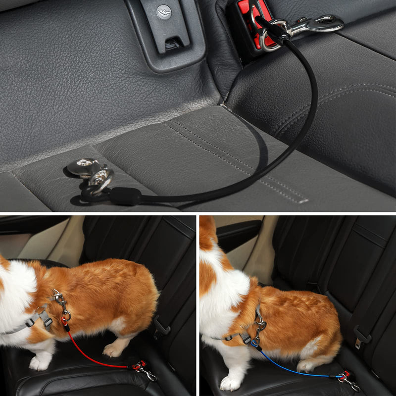 Dog Seat Belt Harness for Car,2pcs Dog Seatbelt of Coated Wire Leash Safety Restraint,No Chew Tether Cable Vehicle Dog Accessories,Double Clips & Latch (2 Pack Black, 24 inch/60 CM) 2 Pack Black - BeesActive Australia