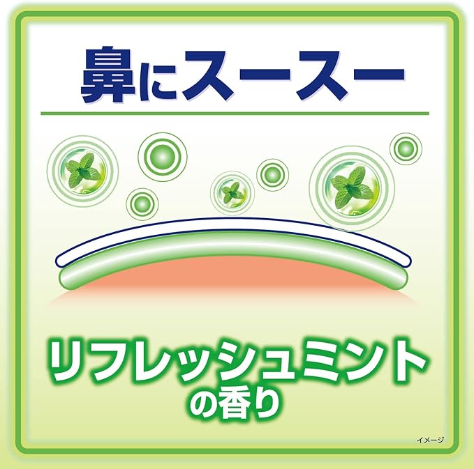 Kobayashi Pharmaceutical Heated Sheet for Adults, Cooling Sheet, Mint, 12 Sheets, Gentle on the Skin, Weak Acid - BeesActive Australia