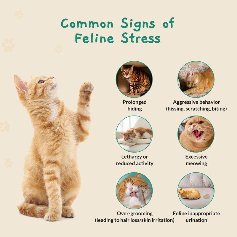 Calming Pop Patch for Cat Travel – Pheromone Diffuser for Cats Reduces Anxiety & Stress-Related Behaviors in Cats & Kittens, Long-Lasting, No Electricity Needed, More Convenient Than Sprays 7 Count