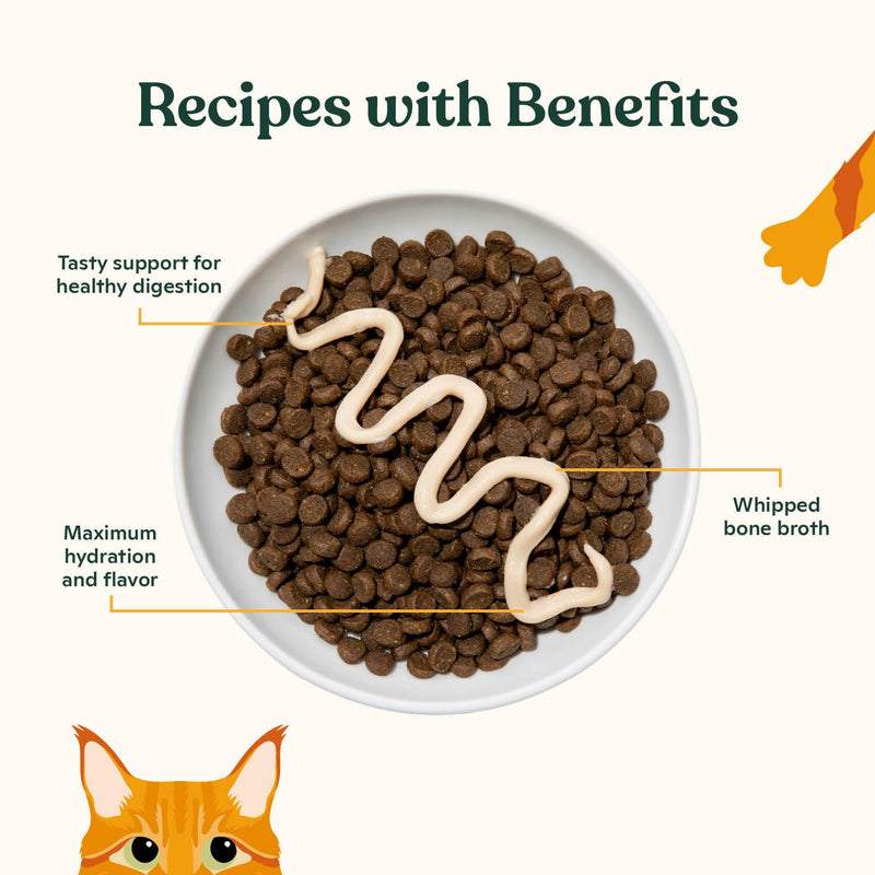 Made by Nacho Lickable Cat Treats Mousse Tubes 12 Count with Bone Broth Tuna Recipe (.5 oz) No Grains, Corn, Wheat or Soy 0.04 Fl Oz (Pack of 12)