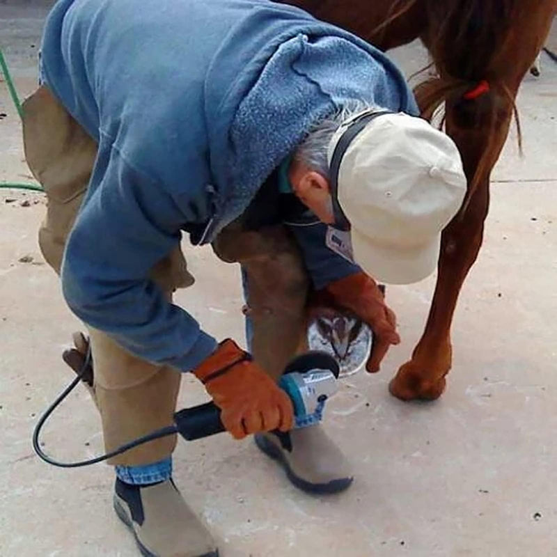 Arinda Goat Hoof Trimmers Tool - Professional Electric Hoof Trimming Disc, Metal Wood Carving Tools for Angle Grinder Attchments, Horses Cow Foot Repair (Blue 6 Teeth) Blue 6 Teeth