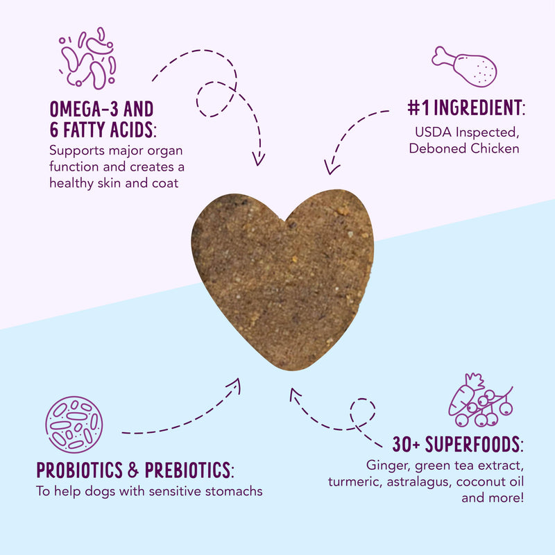 Health Extension Heart-Shaped Crunchy Biscuits, 12oz (340g) – Chicken Flavor, GMO-Free Dog Training Treats for Small Breeds, Added Vitamins & Minerals 12 Ounce (Pack of 1)