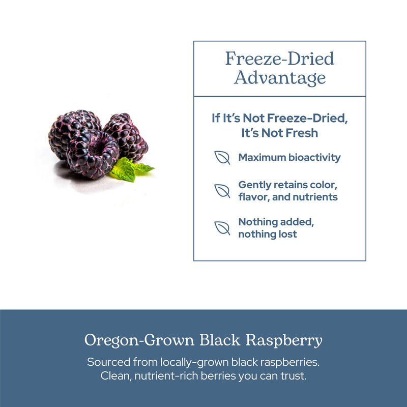 Eclectic Herb - Black Raspberry Capsules | Vegan Superfood Supplement | Nutrition, Vitamins + Minerals | Antioxidant + Immune Support | US-Grown, Natural, Non-GMO, Gluten Free (90 CT | 300 mg)