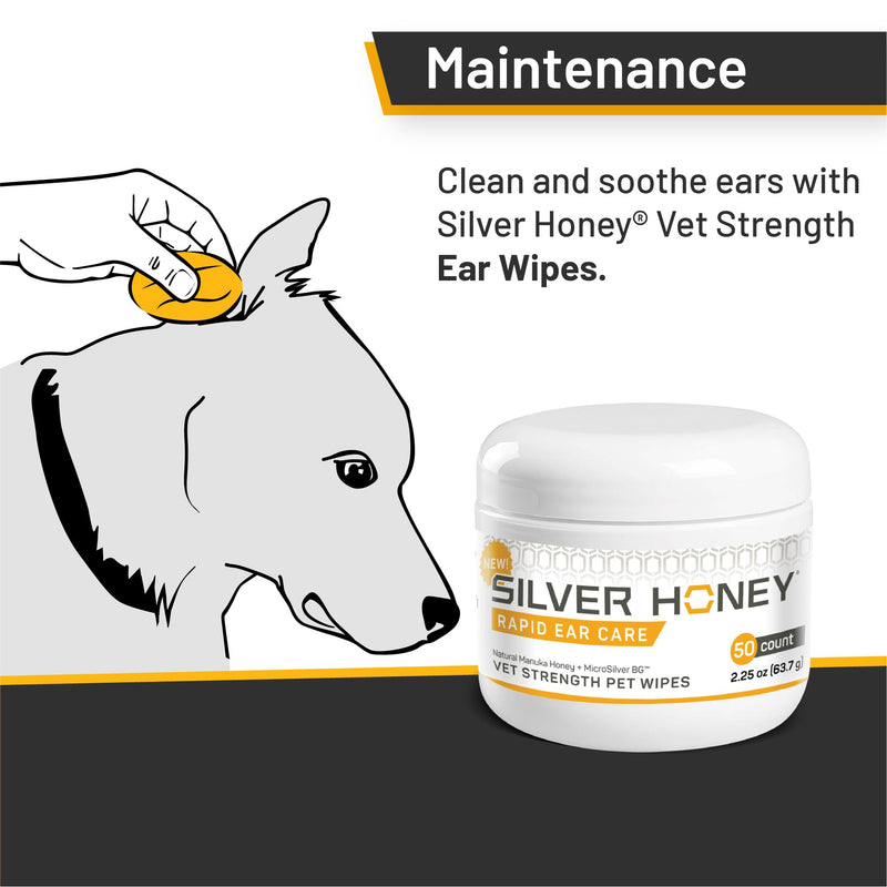 Absorbine Silver Honey Rapid Ear Care Vet Strength Pet Wipes, 50ct, Manuka Honey & MicroSilver BG - BeesActive Australia