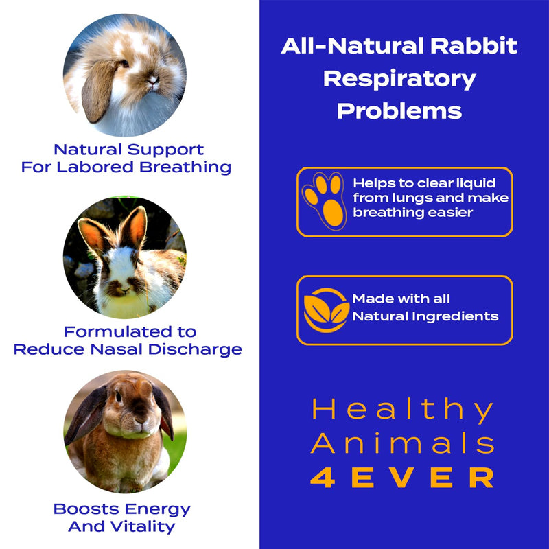 HealthyAnimals4Ever All-Natural Rabbit Respiratory Treatment | Effective Homeopathic Support for Respiratory Health | Preventive Care for Snuffles & URI Rabbit Breathing Relief Tablets | 300 Count - PawsPlanet Australia