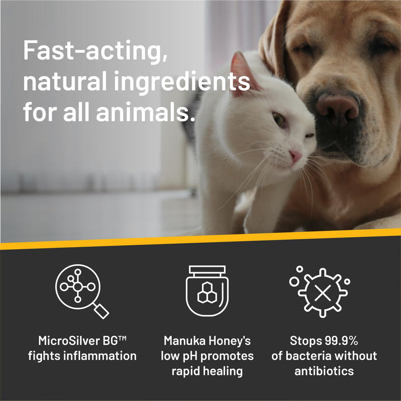 Absorbine Silver Honey Hot Spot & Wound Care Spray Gel for Dogs, Cats, Small Animals, 8oz Bottle - PawsPlanet Australia