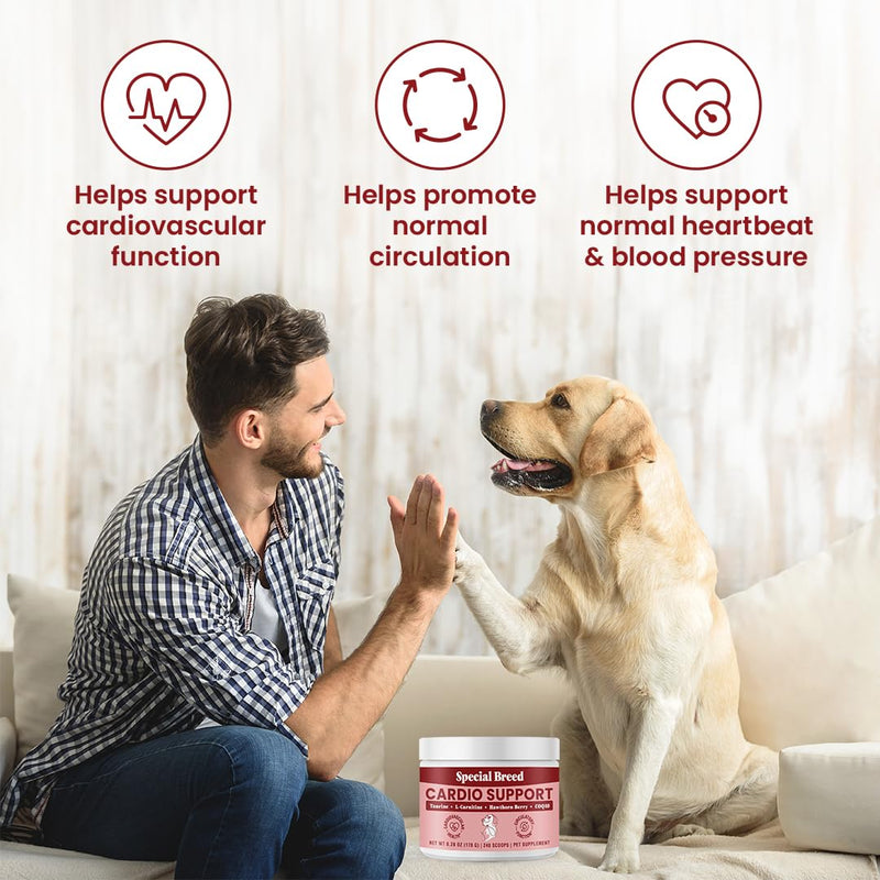 Taurine Supplement for Dogs – Heart Health & Circulation Support – Powder Formula with L-Carnitine, CoQ10 & Organic Hawthorn Berry – 240ct 240 Scoops