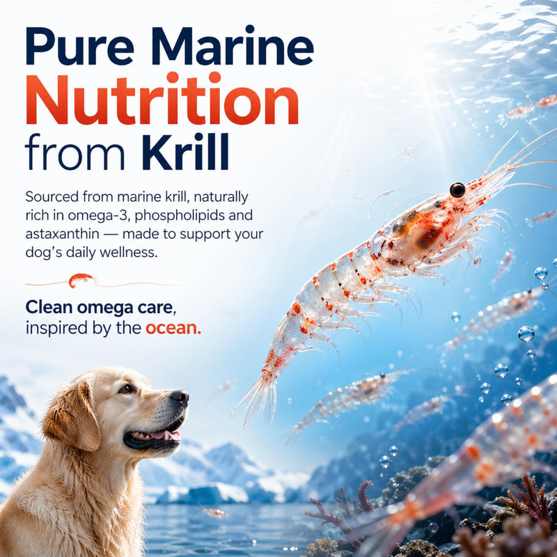Krill Oil Omega 3 Supplement for Dogs, Allergy & Itch Relief, Skin and Coat Support for Shedding, Softgels for Joint Health with EPA DHA & Astaxanthin, 90 Count 1 bottle