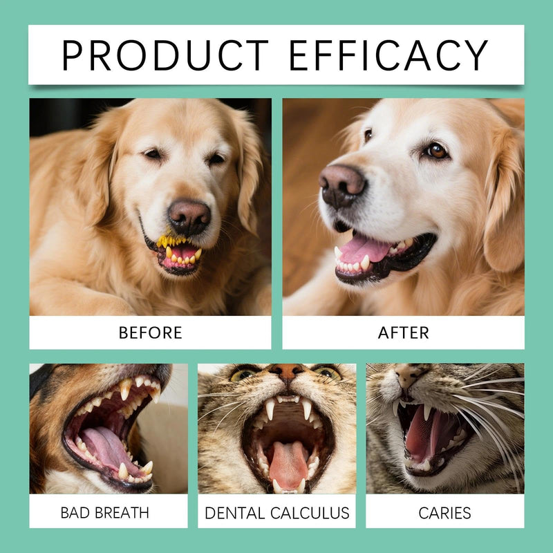 DentaClean Spray for Dogs & Cats - No-Brush Plaque & Tartar Remover, Breath Freshener for Daily Dental Hygiene, Easy Spray Formula for Gum Health, Natural & Non-Irritating, 100ml