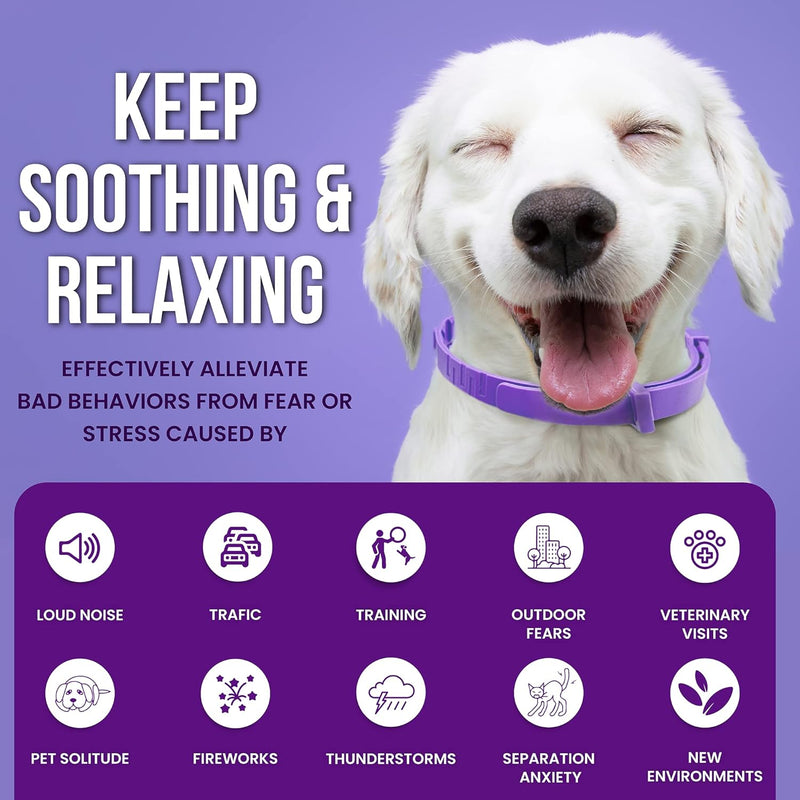 Pets vv Calming Collar for Dogs 3 Packs Pheromone Collar Calm Anxiety Relief, Adjustable Dog Calming Collars for Dog and Puppy Lasts 60 Days, 25 Inches blue - BeesActive Australia