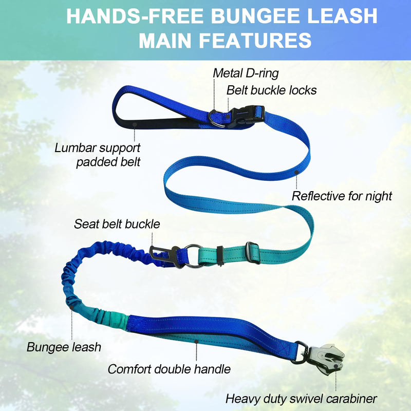 Heavy Duty Hands Free Dog Leash with Quick Release Carabiner and Adjustable No Pull Bungee Dog Running Waist Leash，for Walking and Training with Car Seat Belt 4-6FT (Aquamarine) Aquamarine - BeesActive Australia