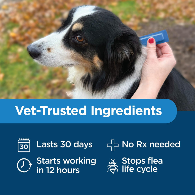 TevraPet Activate II Flea and Tick Prevention for Dogs | 4 Count | Medium Dogs 11-20 lbs | Topical Drops | 4 Months Flea Treatment (Pack of 2) Medium 11-20 lbs (Pack of 2)