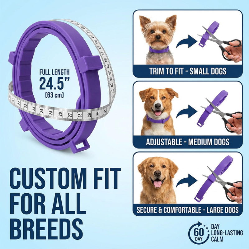 Calming Collar for Dogs, Dog Collar 60-Day Adjustable Calming Collars for Small Medium Large Dogs, 24.5 Inch Comfort Fit Collar 4PCS (Gray) Gray