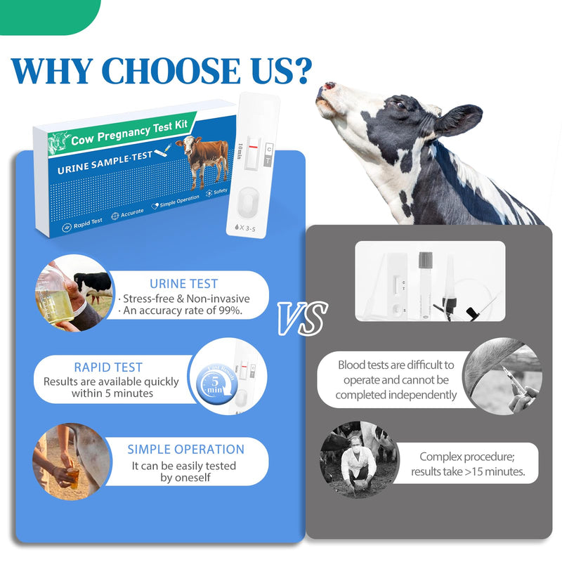 2 Pack Cow Pregnancy Test Kit for Home & Small Farms: Painless Urine Test, Fast 5-10 Min Results, Easy to Use, Safe & Accurate Early Detection, Reliable Solutions for Bovine Pregnancy Detection White - BeesActive Australia
