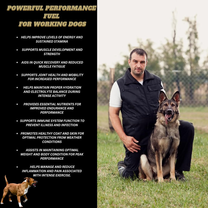 High Protein 70% & Nutritional Supplement For Dogs Muscle, Speed, Stamina, Focus, Energy, Rehab, Recovery, Repair, Probiotic Hench Range Jayfuel All Breeds