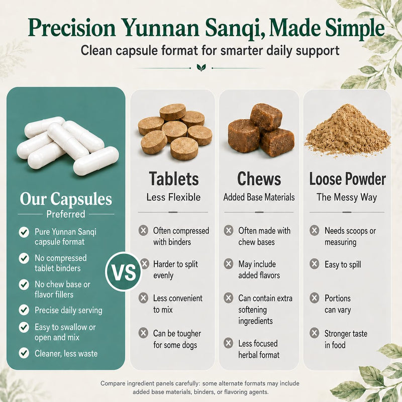 Yun nan Sanqi Capsules for Dogs - Pure Root Powder with Ajuga for Hemangiosarcoma, Hemoabdomen, Pericardial Effusion, Ulcer-Related Bleeding, Cancer Bleeding, Severe Bruising - 90 Capsules