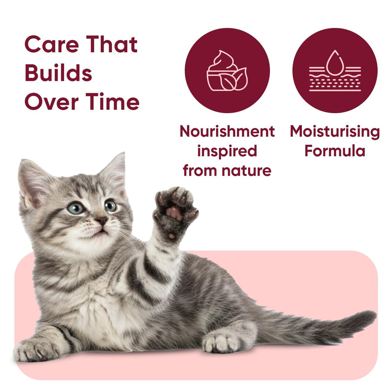 animigo Cat Paw & Nose Balm - 50ml - Snout Soother & Moisturiser - For Cracked Paws & Dry Noses - Cat Paw Balm with Almond, Extra Virgin Olive & Coconut Oil - Free from Parabens - Natural Paw Cleaner