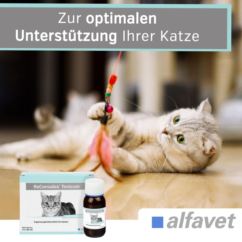 alfavet ReConvales Tonicum Cat Liquid Supplement (3 x 45 ml) – Nutritional Support for Cats – Appetite & Recovery Tonic 45 ml (3er Pack)