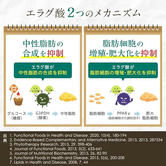 Nishicare GOLD Ellagic acid Visceral fat Body fat Weight Waist circumference Blood neutral fat Food with functional claims Diet support supplement African mango tree 30 days Carnitine Salacia - BeesActive Australia