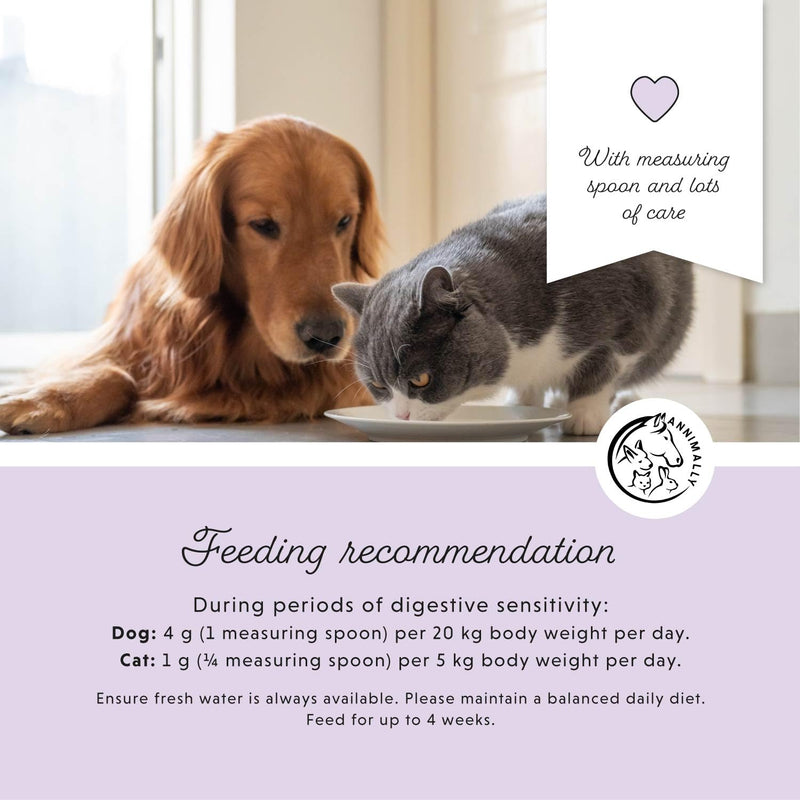 Annimally Colon Vital Powder for Dogs 250 g - Daily Digestive Supplement with Enterococcus faecium, Prebiotics, Chicory, Jerusalem Artichoke, Apple Pomace & Yeast, Made in Germany