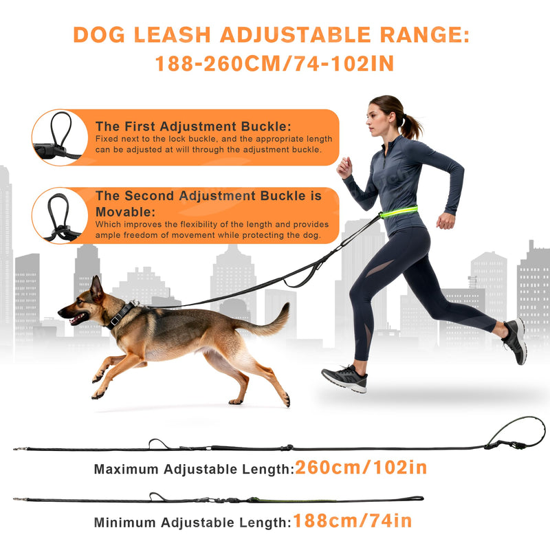 Hands-Free Dog Leash - LED Light Up Rechargeable & Jogging with Car Seat Belt for Small to Large Dogs - Adjustable Crossbody/Waist Dog Leash for Night Walking Running, Training, Hiking (2.6 m) - BeesActive Australia