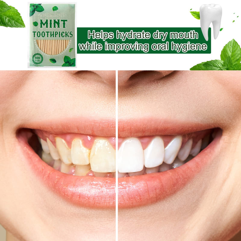 600 Pcs Mint Toothpicks Bulk Flavor Menthol Toothpicks Wood Flavored Toothpicks for Adults Natural Wooden Tooth Pick for Humans Teeth Oral Dental Health - BeesActive Australia
