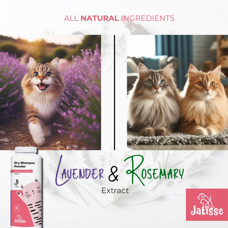 Cat Dry Shampoo Powder with Lavender and Rosemary for Cats 5.29 fl. oz| Grooming for Cat | Kitten Sensitive Skin | Cleansing and Moisturizing Perfume and Talc Free (1) 1 - BeesActive Australia