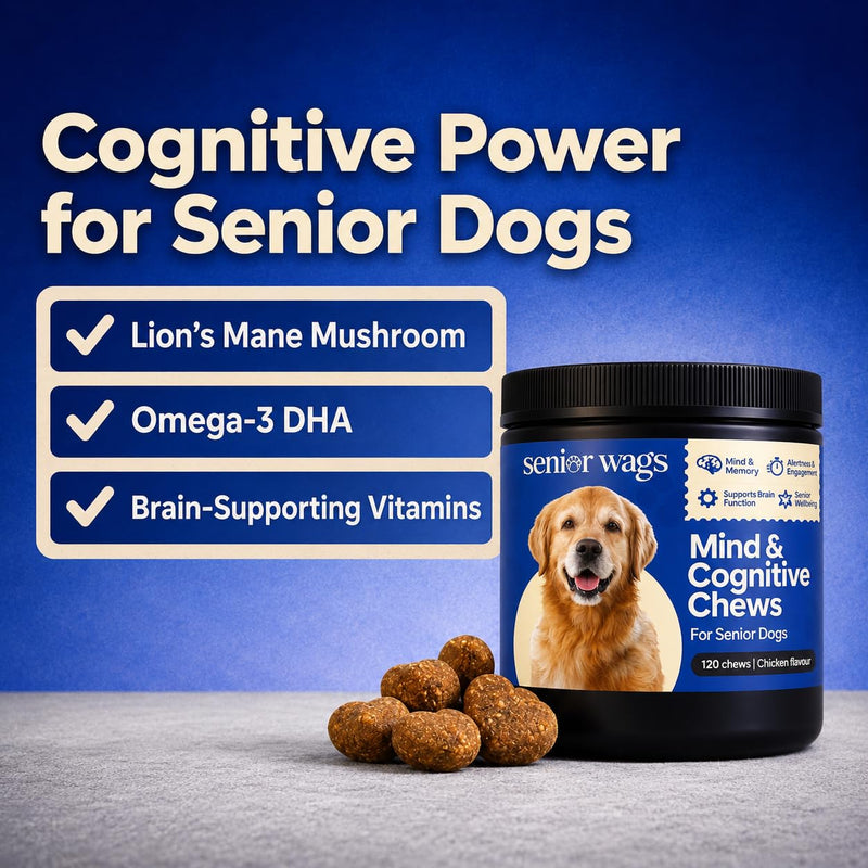 Mind & Cognitive Chews for Senior Dog | Brain Function, Memory & Alertness Support | Dog Supplements with Lion's Mane, DHA & Phosphatidylserine | 120 Chicken Flavour Chews