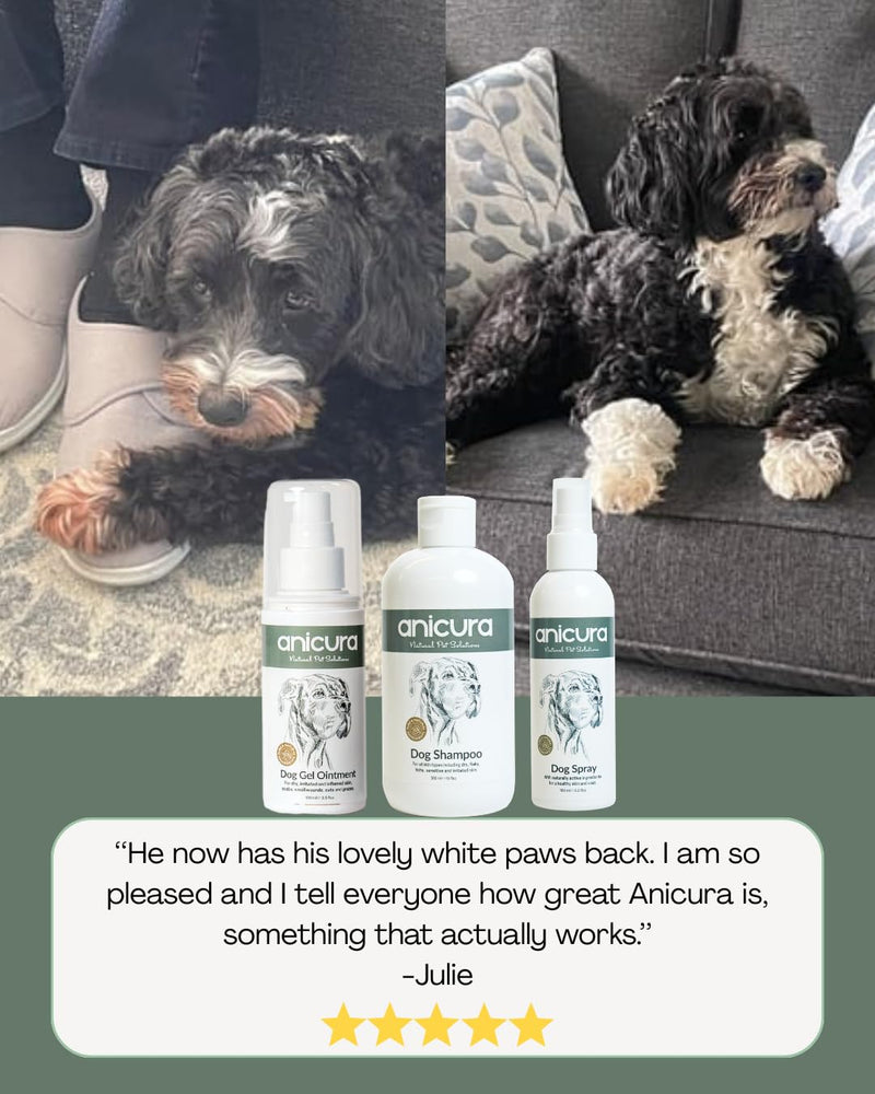 Anicura Dog Skin Ointment – soothes dry, itchy skin, hot spots, eczema & allergies. Reduces scratching & licking. Gentle for sensitive dogs. Value bundle (2 x 100ml Pack)