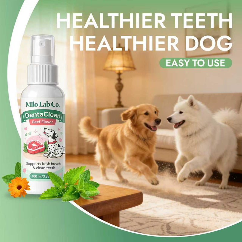 Advanced Dental Spray, Dentaclean Oral Care Pet Dental Spray, Breath Freshener Spray Supports Healthy Gums and Clean Teeth, Safe Ingestible Formula for Daily Pet Hygiene