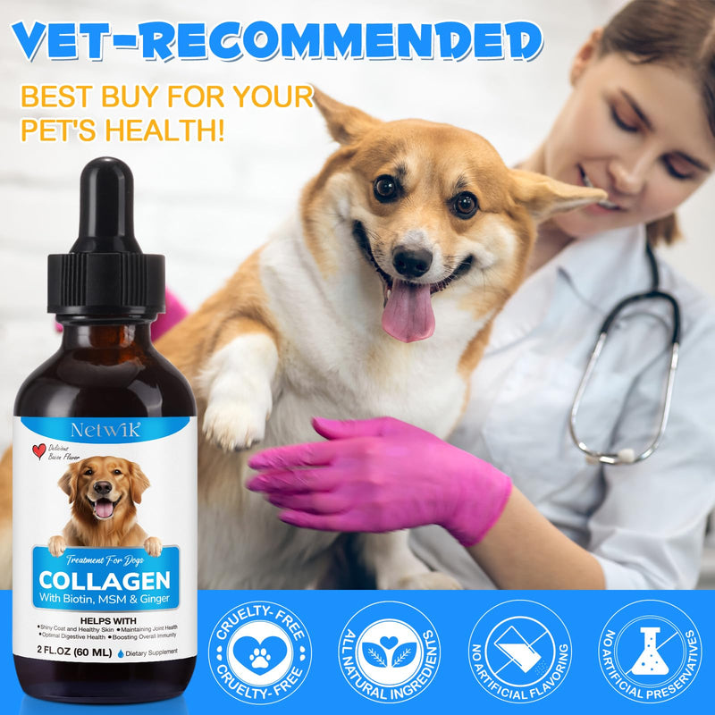 Collagen for Dogs - Skin and Coat Supplement for Dogs, Dog Liquid Collagen, Collagen Supplement for Dogs - Collagen with Biotin, MSM & Ginger - 2 fl oz - PawsPlanet Australia