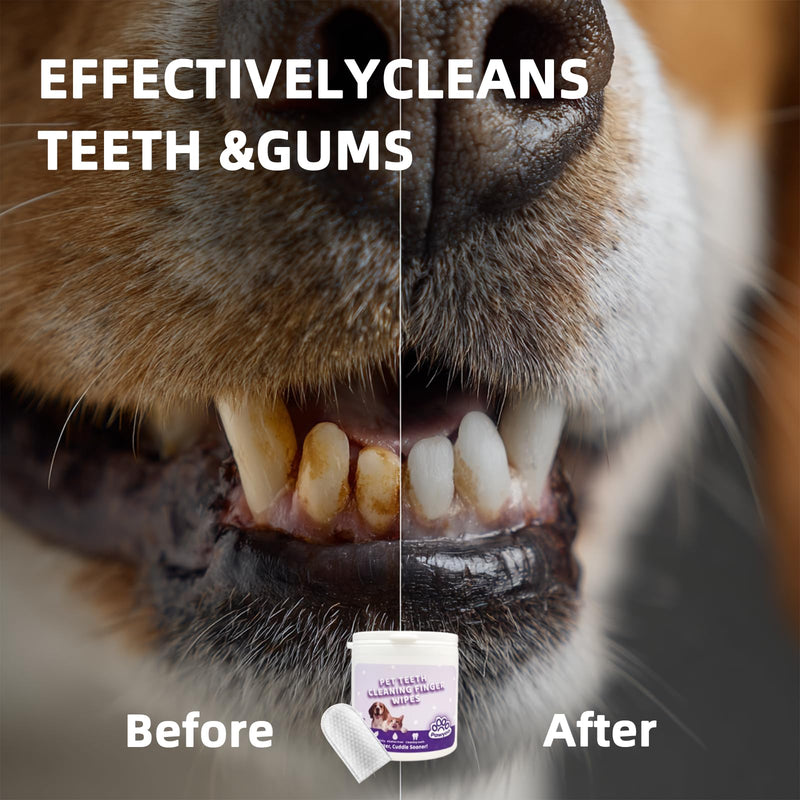 Cats Dogs Dental Care Finger Wipes - 50 PCS Tooth Brushing Kit Dental Wipes for Cats - Teeth Cleaning Finger Wipes for Dog & Cats - Reduces Dental Debris & Freshens Breath (CY_TeethWipes) CY_TeethWipes