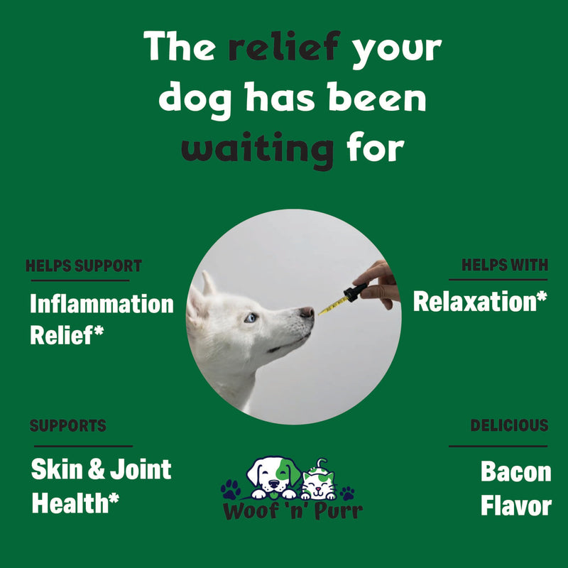Hemp Oil for Dogs & Cats - Pet Hemp Oil for Dogs - Hemp Oil for Cats - Hemp for Dogs - Hemp for Dogs Anxiety and Stress Relief - Dog Hemp Oil - Hemp for Cats - Hemp Oil for Dogs Pain Relief - 1 fl oz