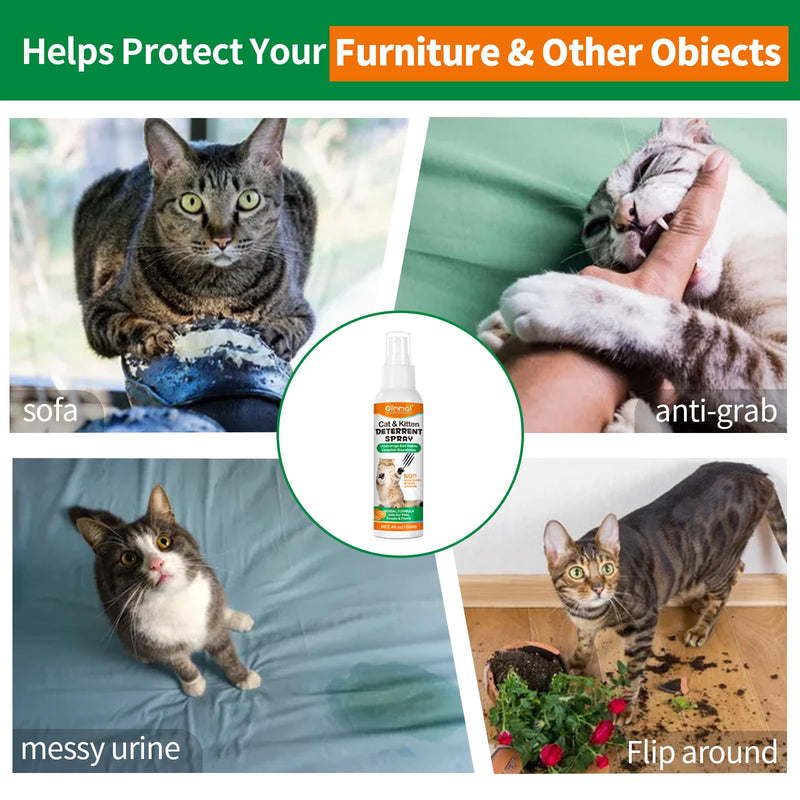 Cat Repellents Sprays,240ML,Anti Pee & Anti Scratch Furniture & Anti Scratching Plants,Suit for Indoor & Outdoor,Establish Boundaries & Keep Cat Off,Safe for Children & Plant - BeesActive Australia