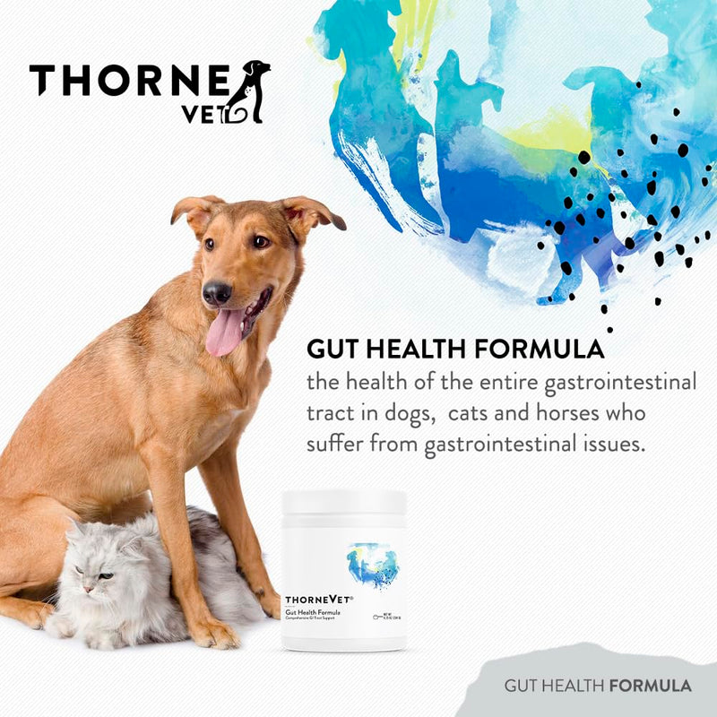 ThorneVET Gut Health Formula – Gastrointestinal Support for Dogs, Cats & Horses, 180 Scoops 3.81 oz (108g)