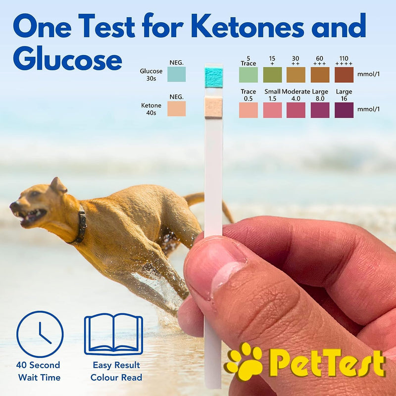 Pet Urine Test Strips Ketone Glucose Strips for Dogs and Cats Urinalysis (50 Strips) Monitoring and Avoid UTI by Advocate Pettest - BeesActive Australia