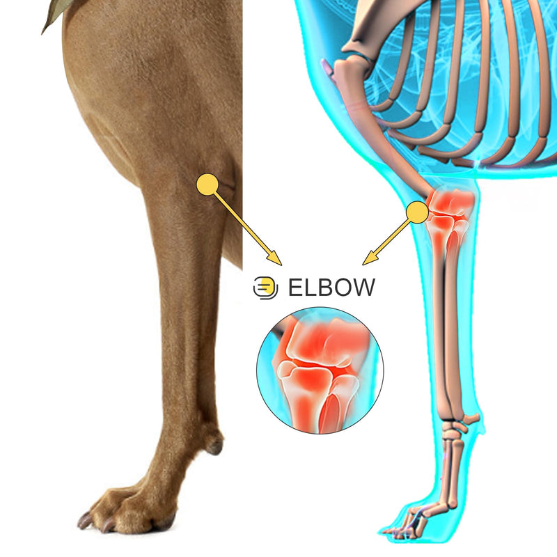 Dog Elbow Protector for Front Leg, Adjustable Shoulder Brace Metal Splint for Hygroma, Arthritis, Dysplasia Relief, Prevents Calluses & Pressure Sores from Hard Floors, Aids Wound Healing S-Right