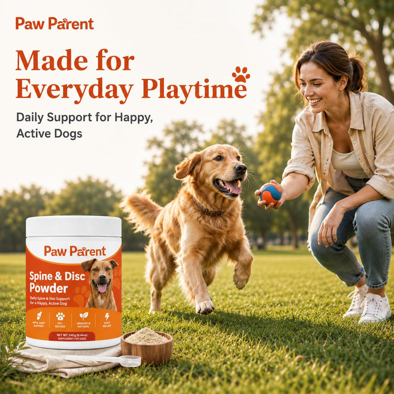 Green Lipped Mussel, Paw Parent Spine and Disc Powder, Secret Powder, Joint Mobility & Flexibility for Dogs Mobility, Improve Dog Cartilage & Bone Health (1 pcs) 1 pcs