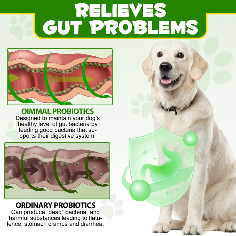 Dog Probiotic Powder - Rich In Prebiotics - 12 Strains Of Beneficial Bacteria, Support Healthy Digestion, Balance Gut Microbiota, Strengthen Immunity, No Gluten Or Dairy 120g