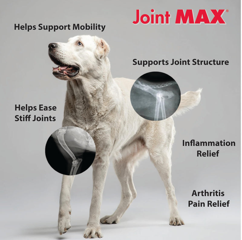 TS Joint Supplement Vet Formulated Pain & Inflammation Relief Treats Hip Dysplasia & Arthritis, Glucosamine, Chondroitin, Turmeric, MSM, HA, Creatine, Omega 3 EPA + DHA.120 Soft Chews 120 Soft Chews - BeesActive Australia
