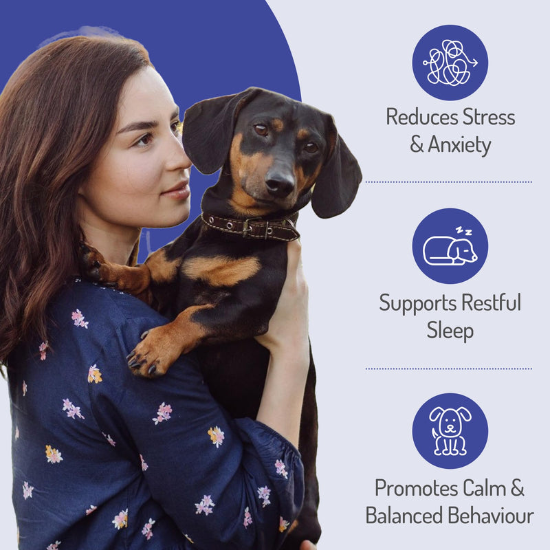 PureBlend Dog Calming Treats — Calming Chews for Dogs with Hemp Seed Oil, Chamomile & L-Theanine — 120 Chews, Up to 4 Month Supply