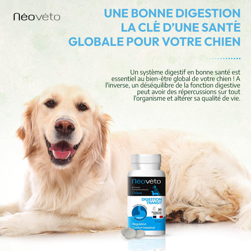 NEOVETO - Digestion Transit - 30 natural tablets for Dogs - Intestinal hygiene - Active ingredients approved by French Veterinary Services - Made in France - Easy to administer