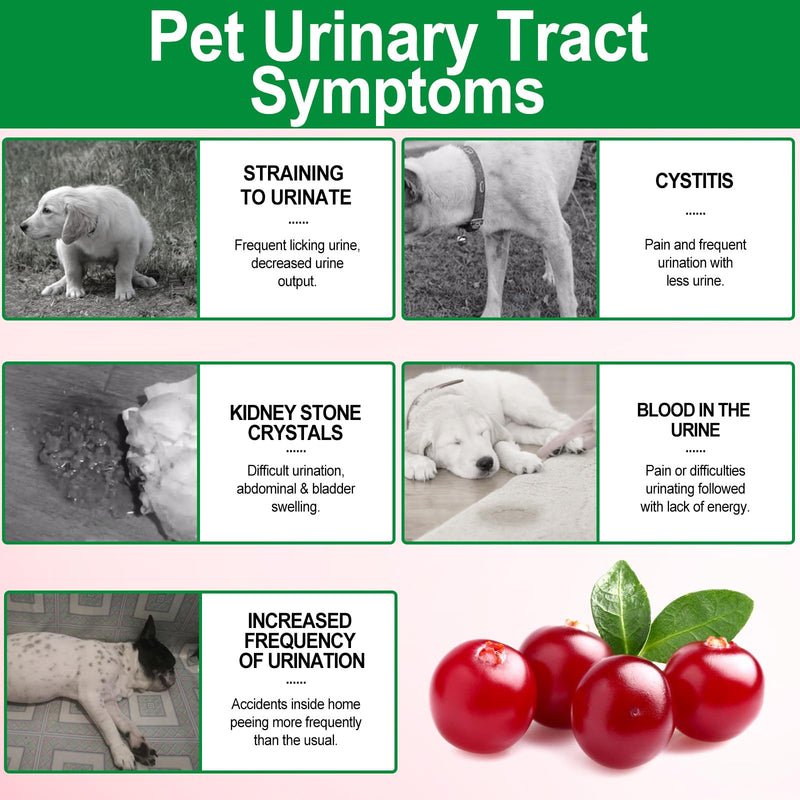 Bladder & Kidney Support for Dogs, Urinary Tract treatment and Bladder Control Supplement, Soft Chews with Cranberry and D-Mannose, Natural Immune System Booster - Peking Duck Flavor (150Pcs) 150Pcs